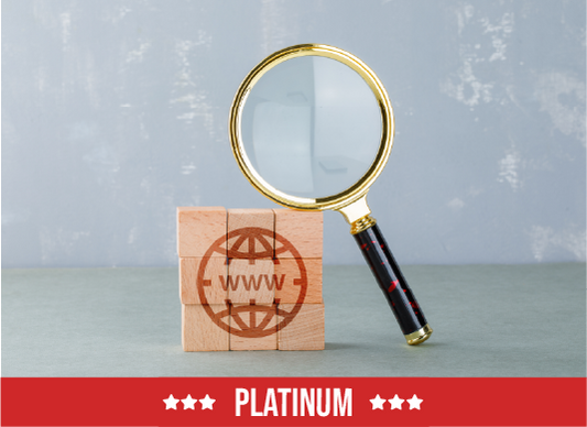 Search Engine Optimization - Platinum