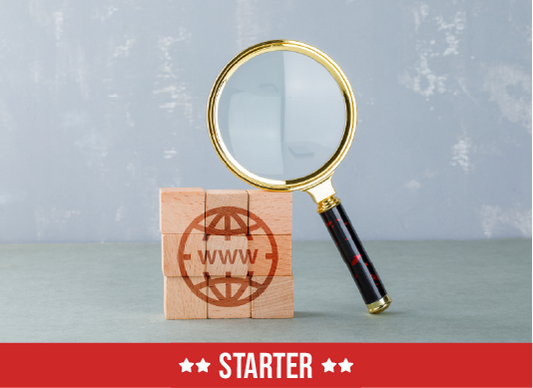 Search Engine Optimization - Starter