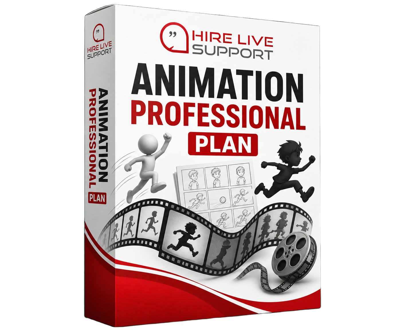 Animation - Professional Plan