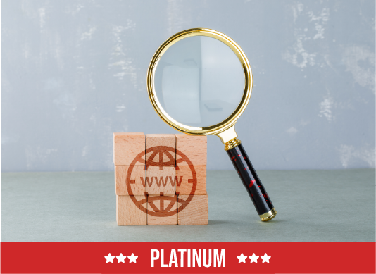 Search Engine Optimization - Platinum